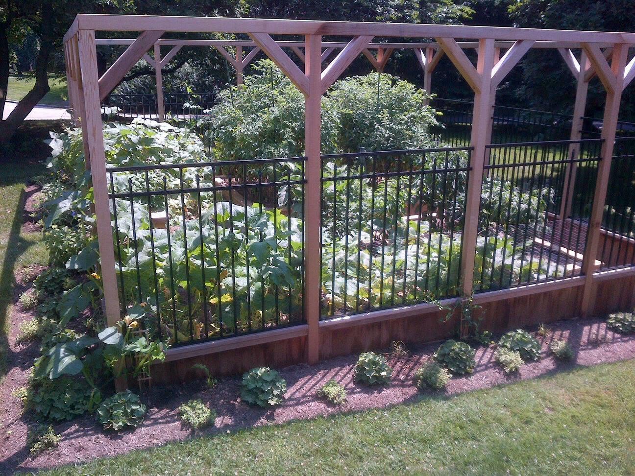 Custom cedar and iron garden enclosure